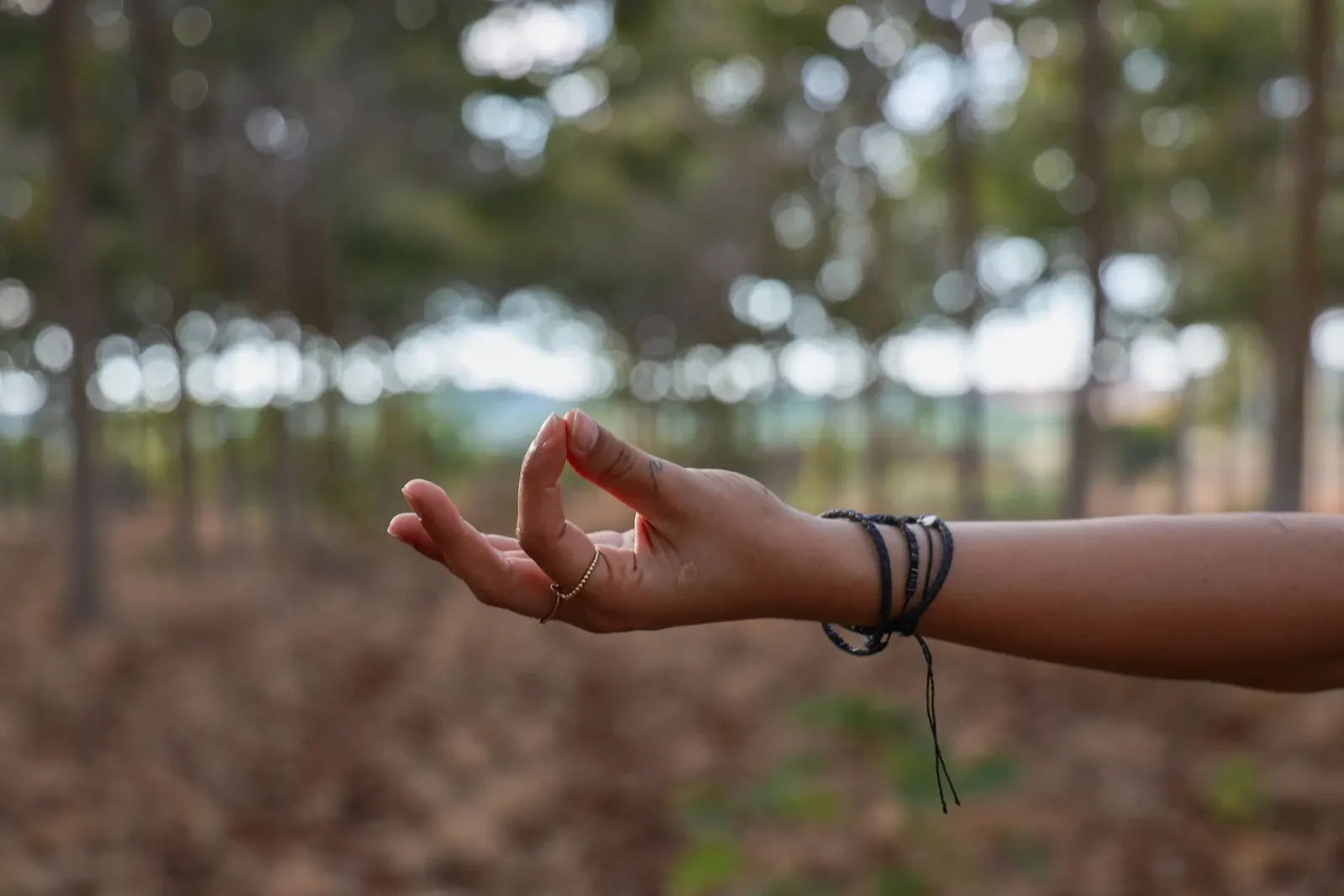 An open hand held palm-up in a meditation mudra, braided bracelets at the wrist, in a sunlit pine forest